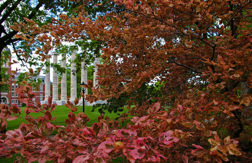 Arboretum at Mizzou Botanic Garden includes the entire University of Missouri campus.